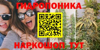 гашик Будённовск