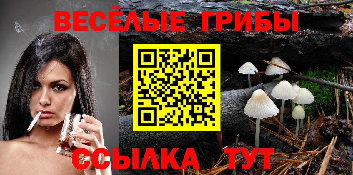 Псилоцибиновые грибы Psilocybine cubensis  Вход с VPN  Балаково 